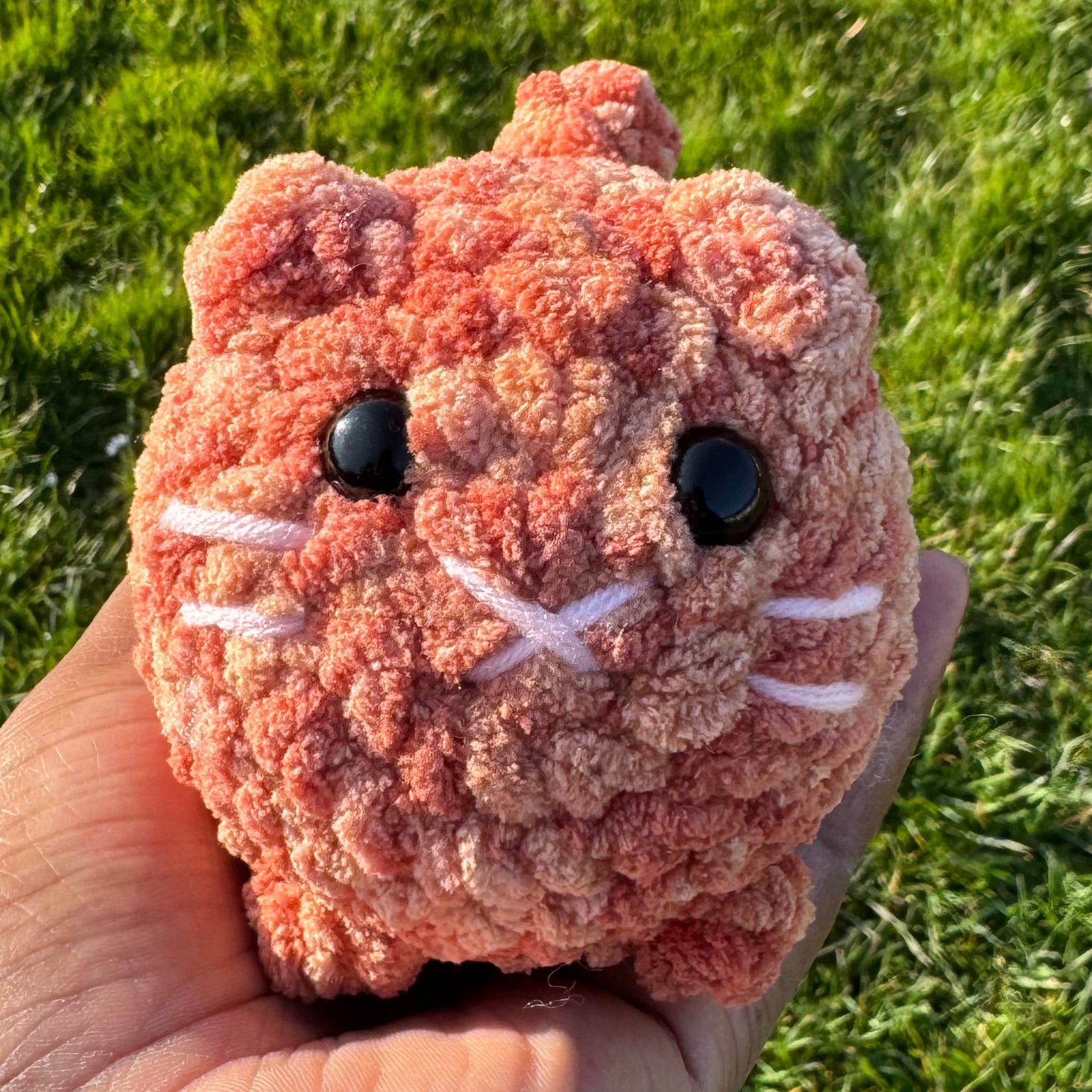 Baby loaf cat